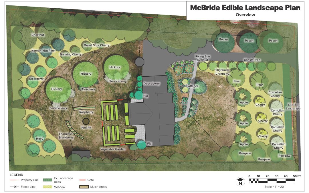 Edible Landscape & Gardens